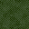 Pine